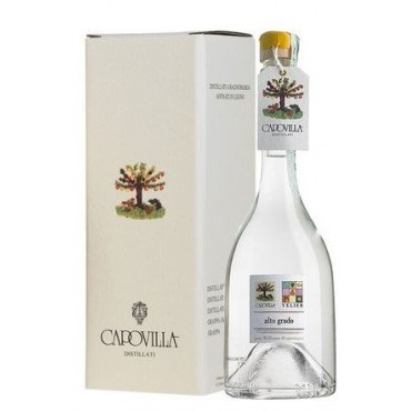Capovilla Pere Williams...
