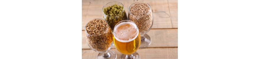 Birre Artigianali del mondo
